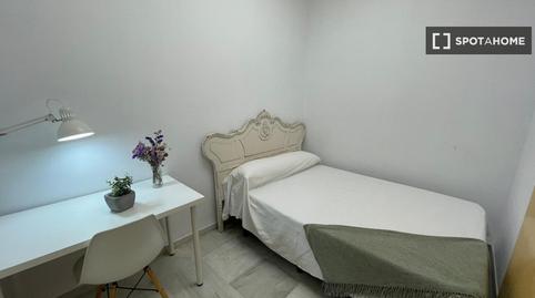 Foto 3 de Pis per a compartir a Feria, Sevilla