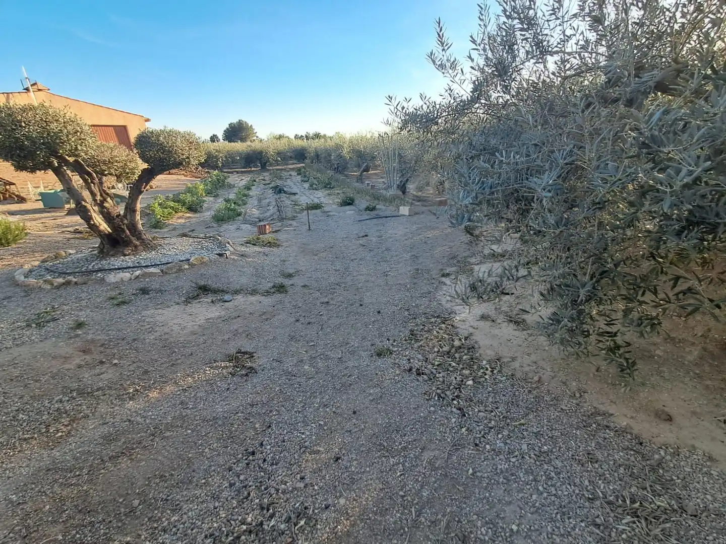 Casa en venta en Pedanías Sur, imagen 20