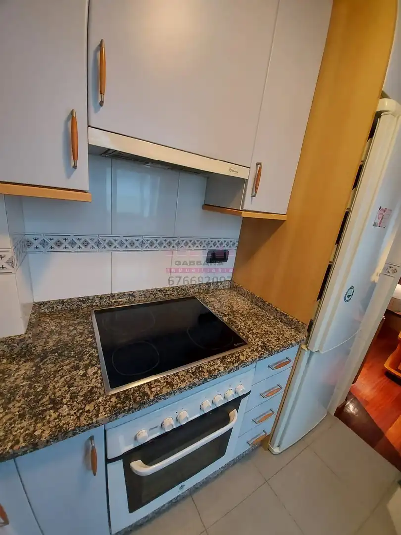 Study for rent in Avenida da Hispanidade, 48, O Castro