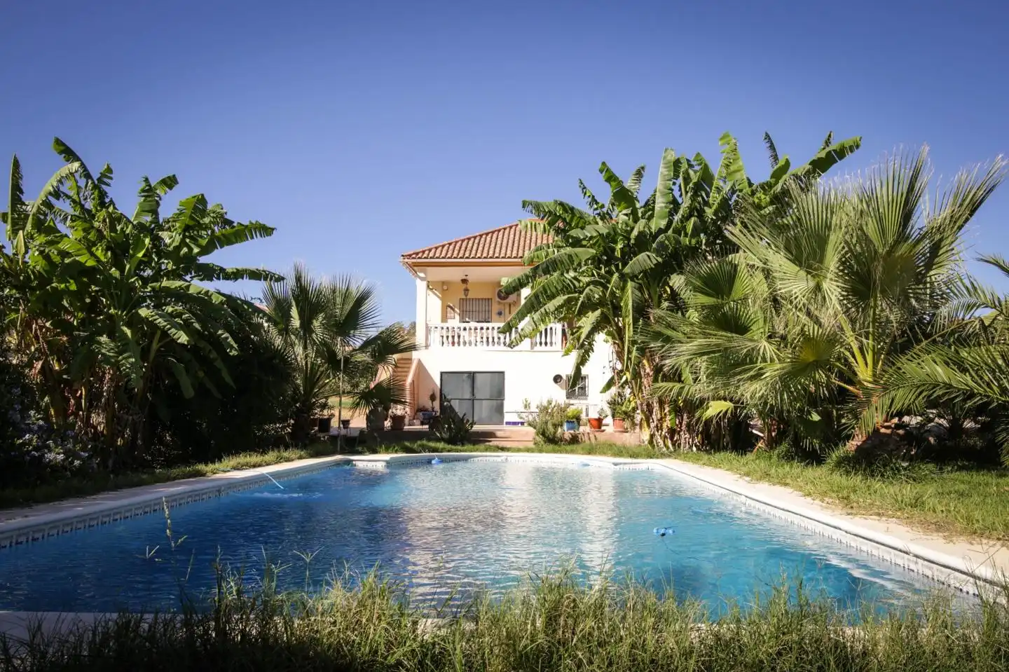 Swimming pool of Houses for sale in La Puebla del Río