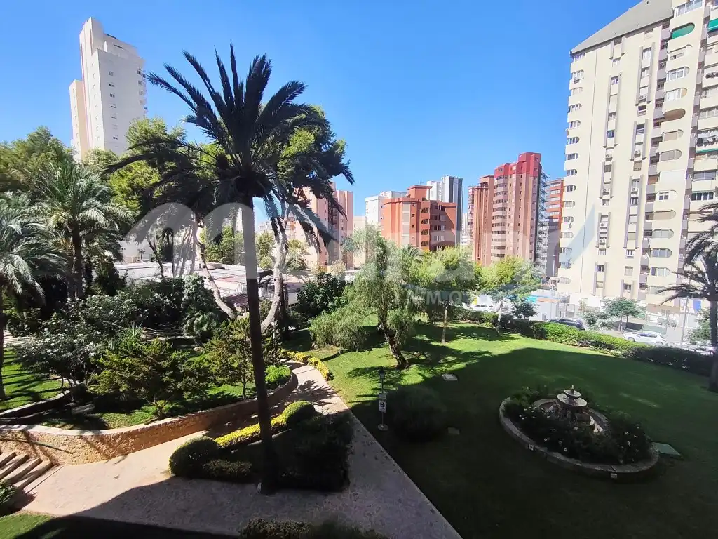 Exterior view of Study for sale in Benidorm  with Private garden, Terrace and Swimming Pool