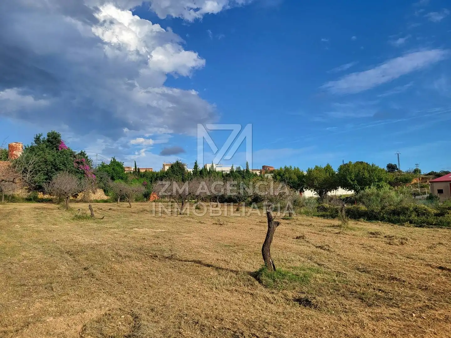 Terreno rustico in vendita a Traiguera, imagen 14