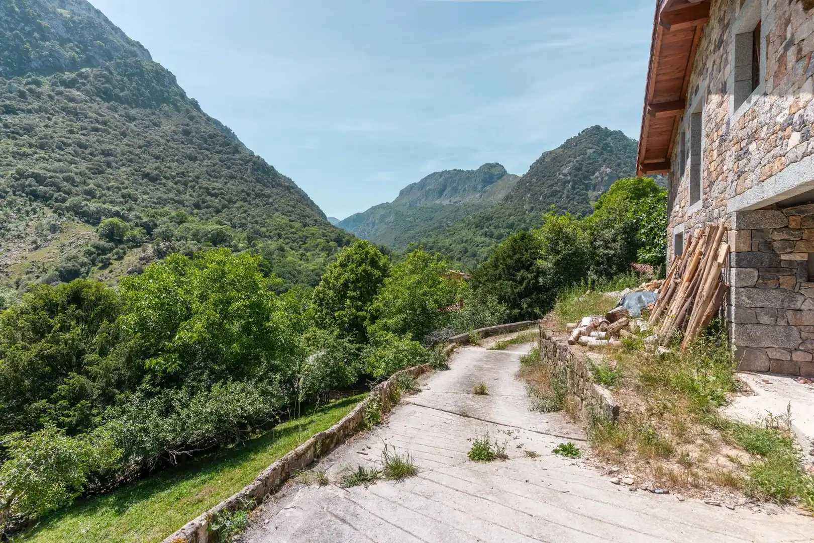 Vista exterior de Terreno en venta en Peñamellera Alta