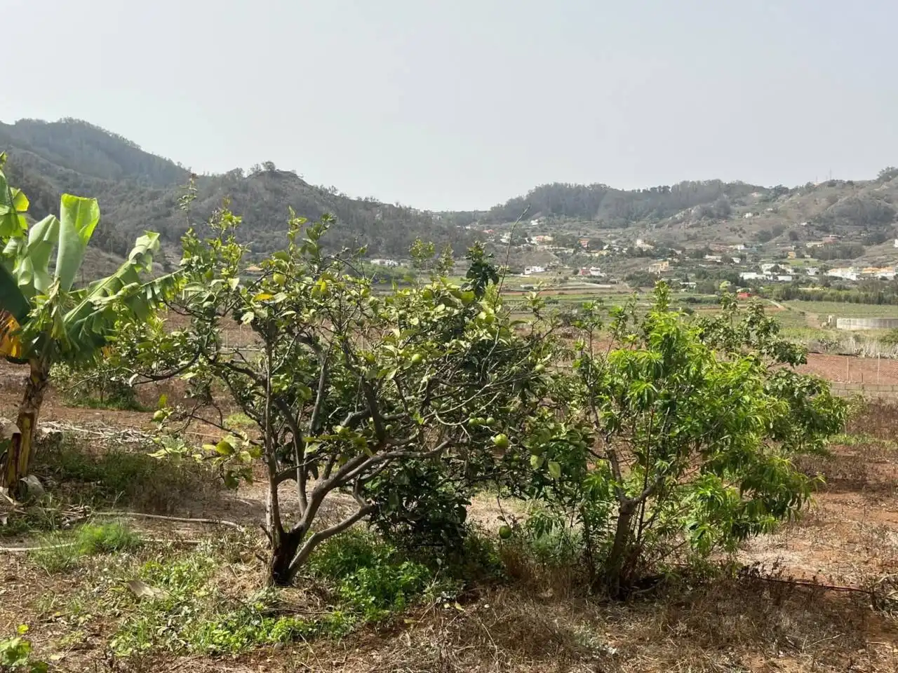 Country house with garden for sale in Plaza el Socorro, imagen 17