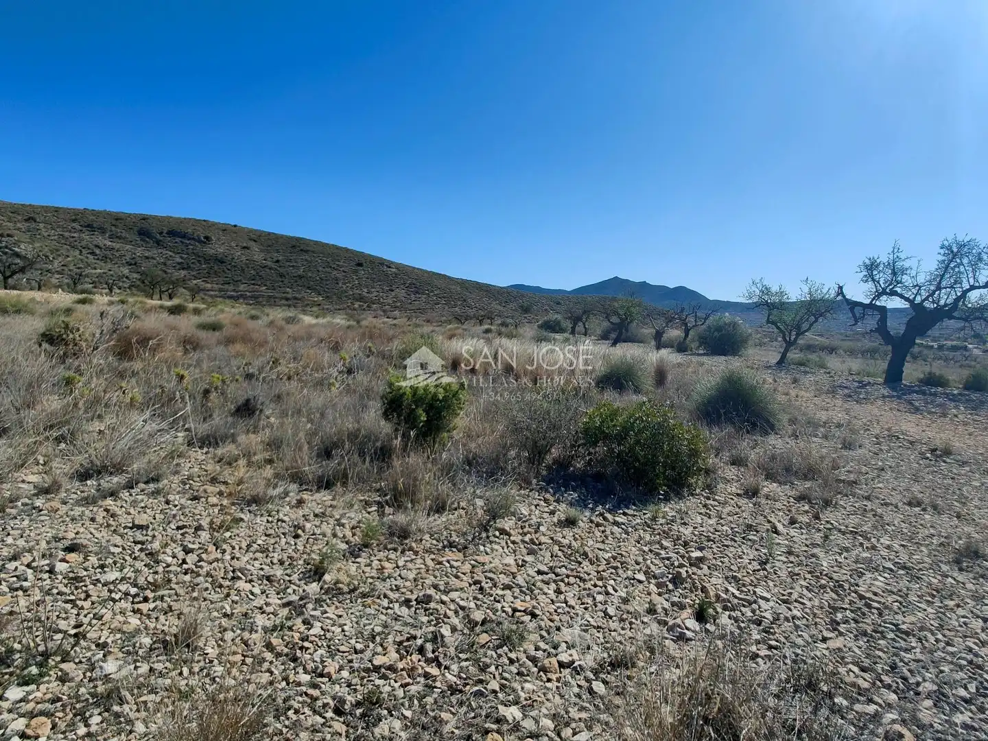 Terreno rustico in vendita a Hondón de los Frailes, imagen 7