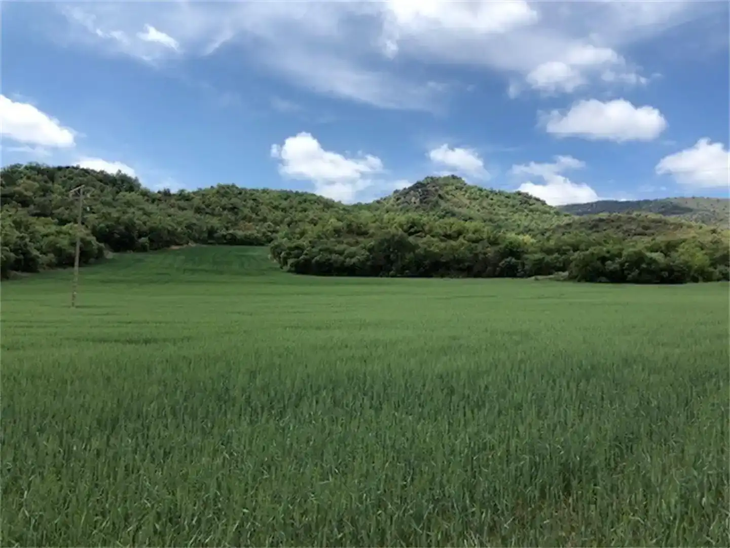 Terreno en venta en Cubells, Lleida