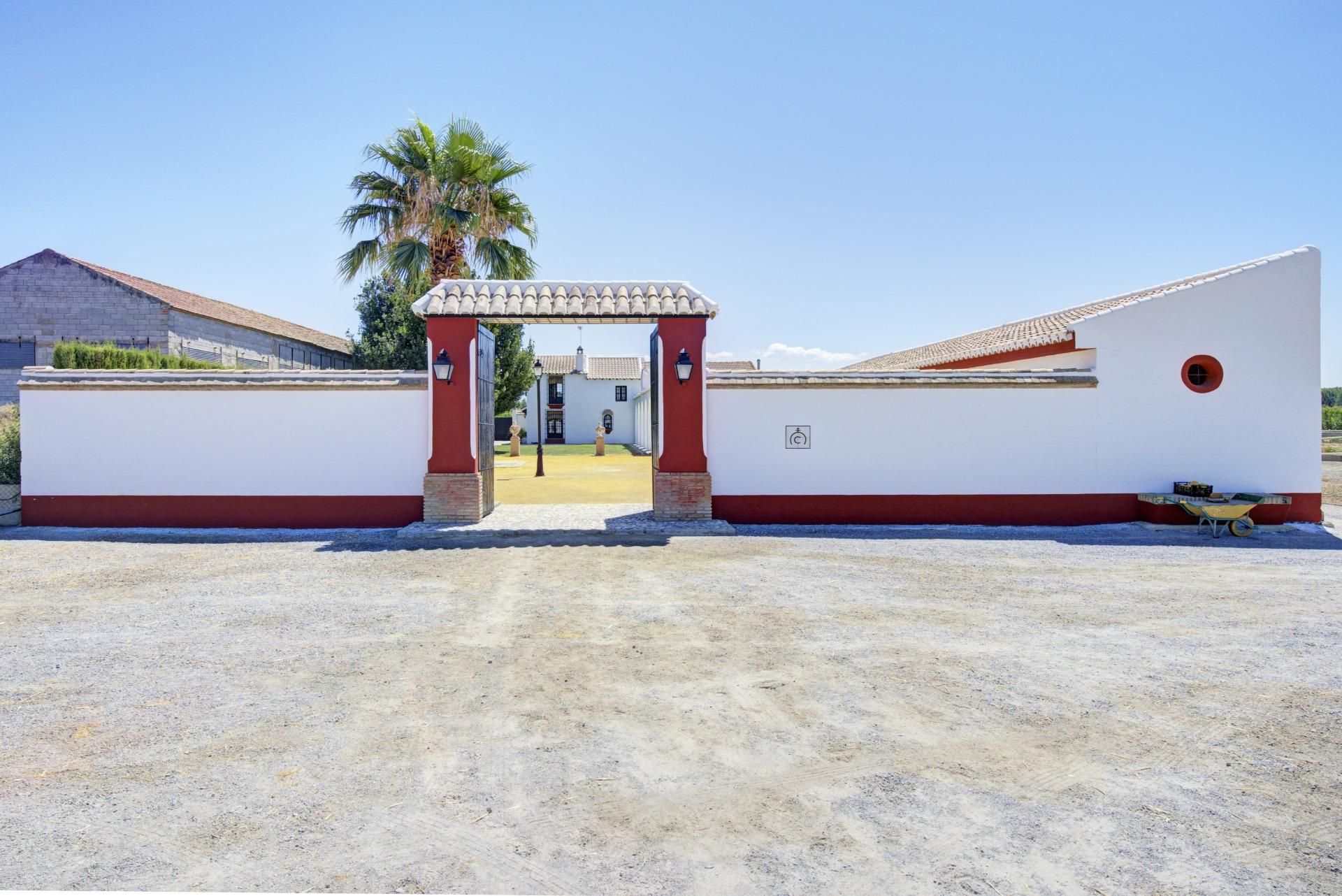 House or chalet for sale in Pinos Puente