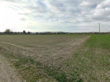 Terreno rustico in vendita a PP LOS SANTOSII-PILARICA