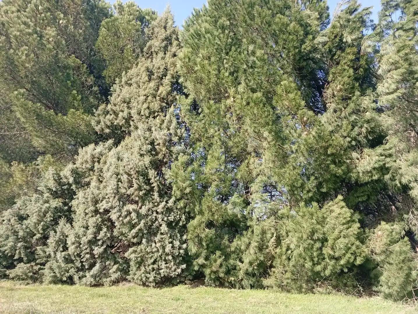 Terreni e lotti in vendita a Villanueva de la Vera, imagen 12