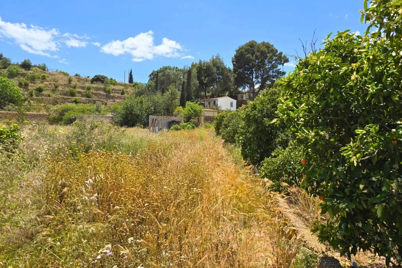 Terrenos y solares en venta en Escandinavia - Cautivador, imagen 15