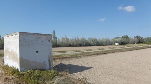 Finca de cultivo en Amposta. Terres del Ebre, imatge 2