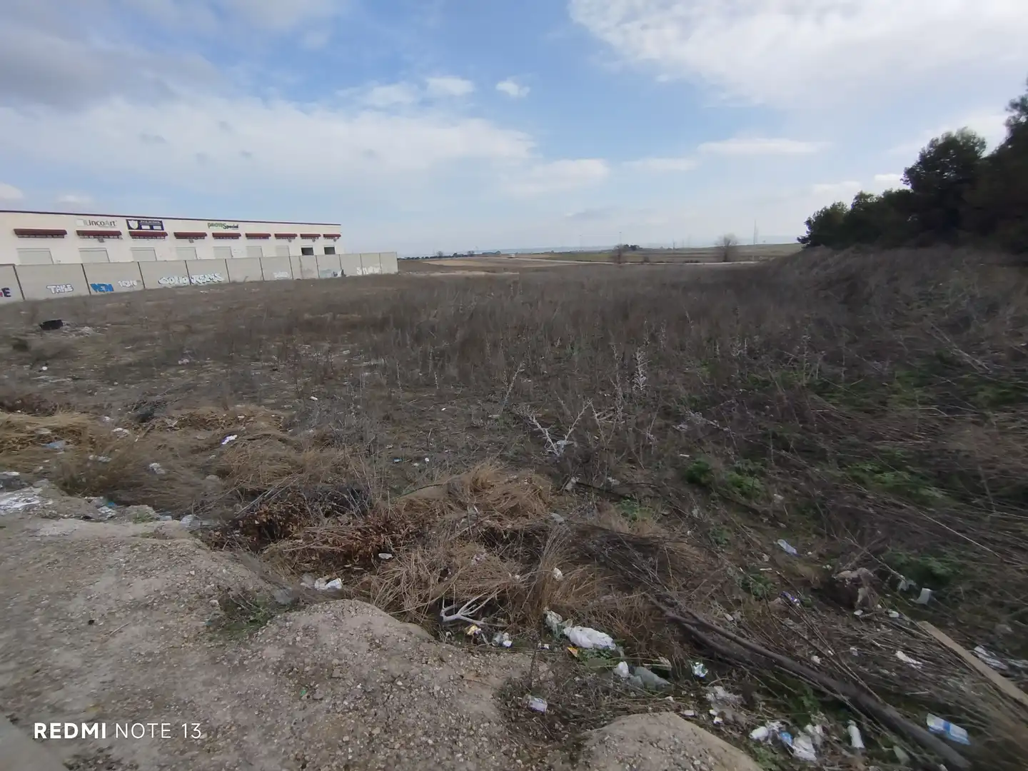 Terreny industrial en venda a Avenida de Nísperos, Los Cestos - Belén - Las Eras