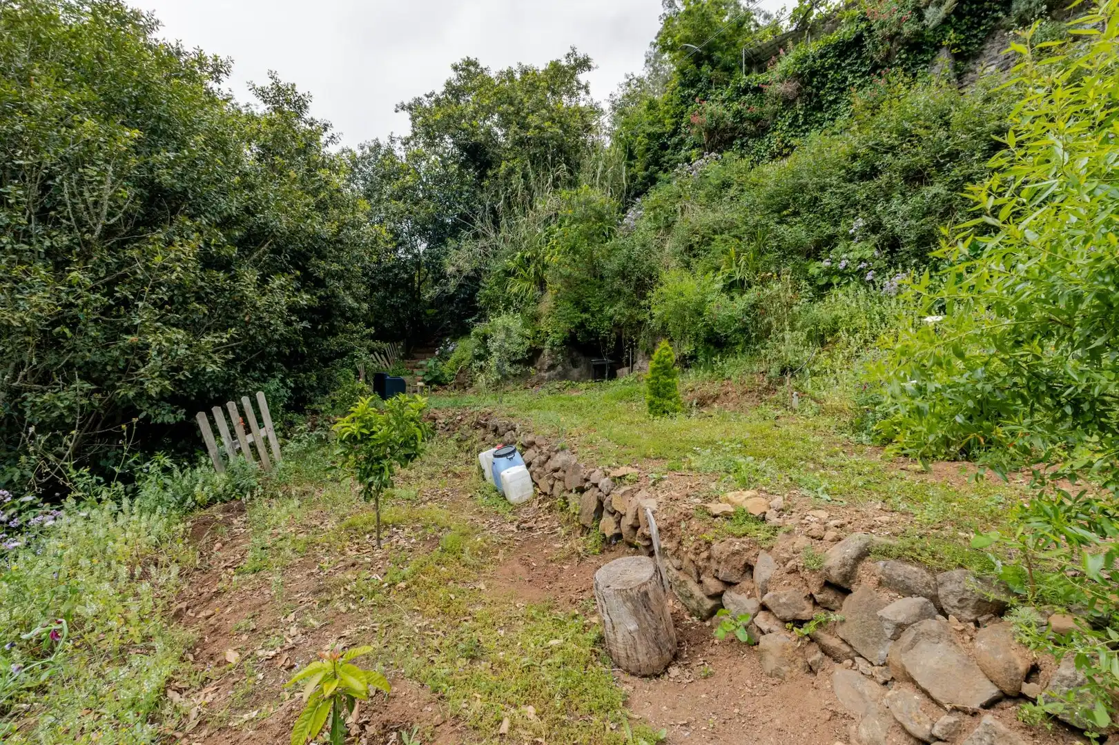 Land for sale in Teror