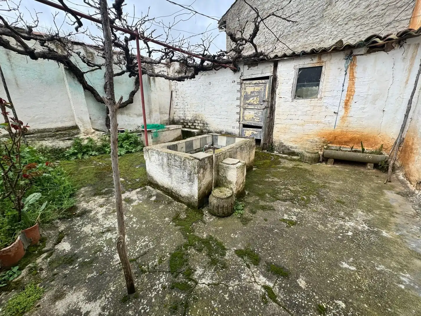 Finca rústica en venta en Villamañán