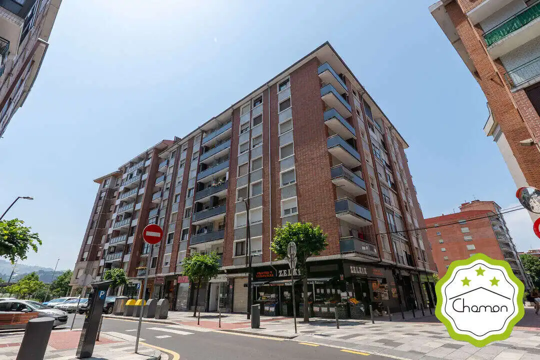 Appartement avec ascenseur à vendre à Bagatza - San Vicente, imagen 44