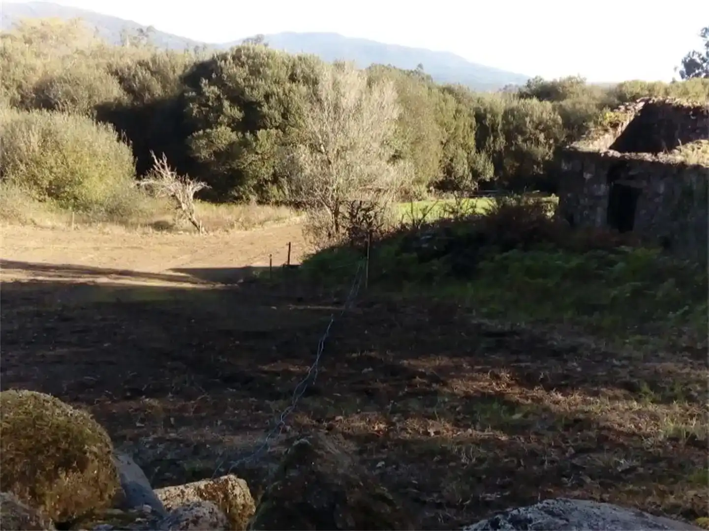 Finca rústica en venta en Cuntis