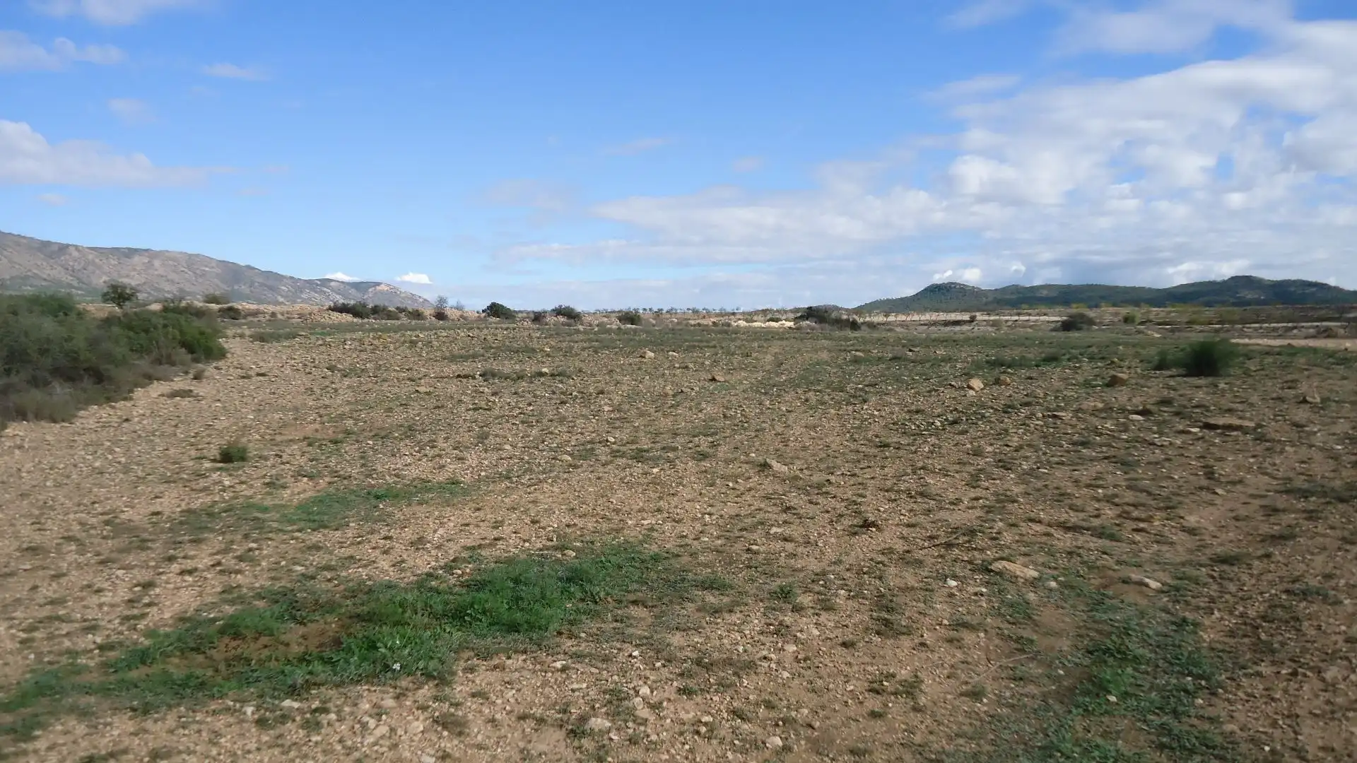 Terreno rústico en venta en El Pinós / Pinoso