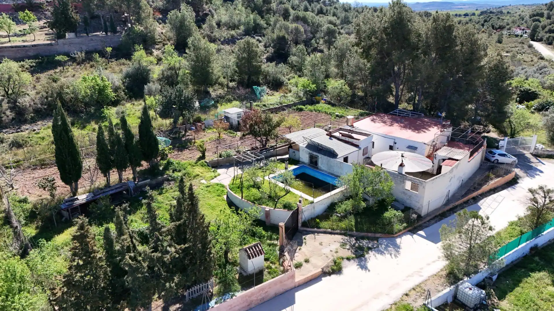 Vista exterior de Casa o xalet en venda en Casinos amb Terrassa, Traster i Piscina