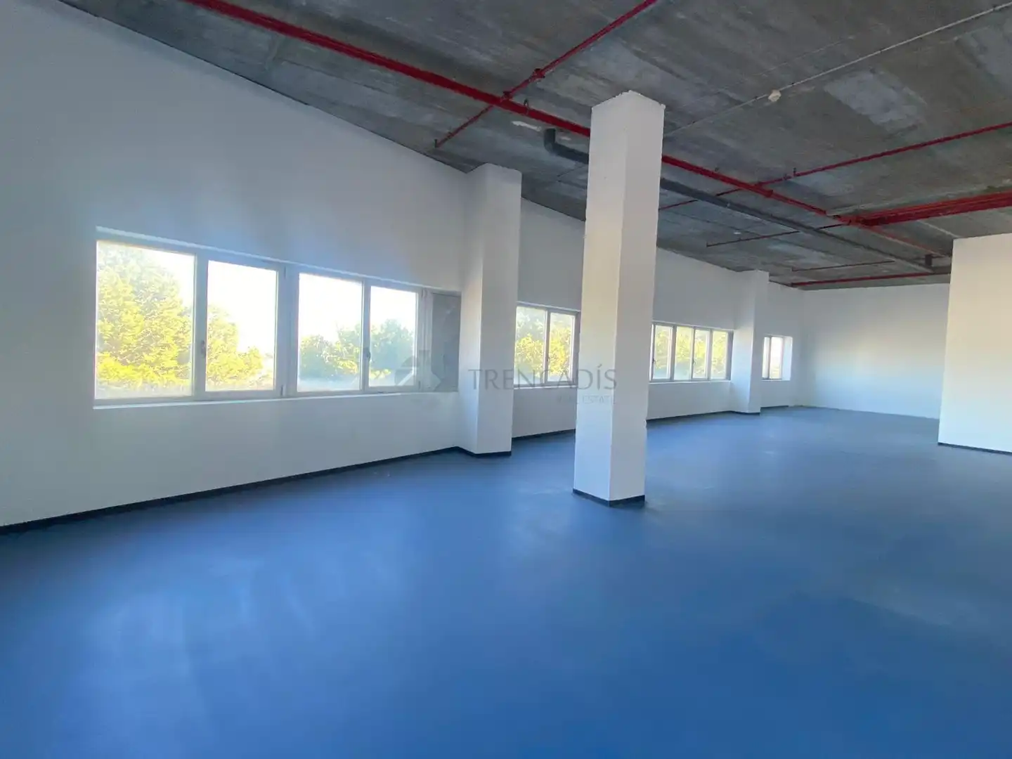 Gewerbefläche zum Verkauf in edificio el mundo, imagen 3