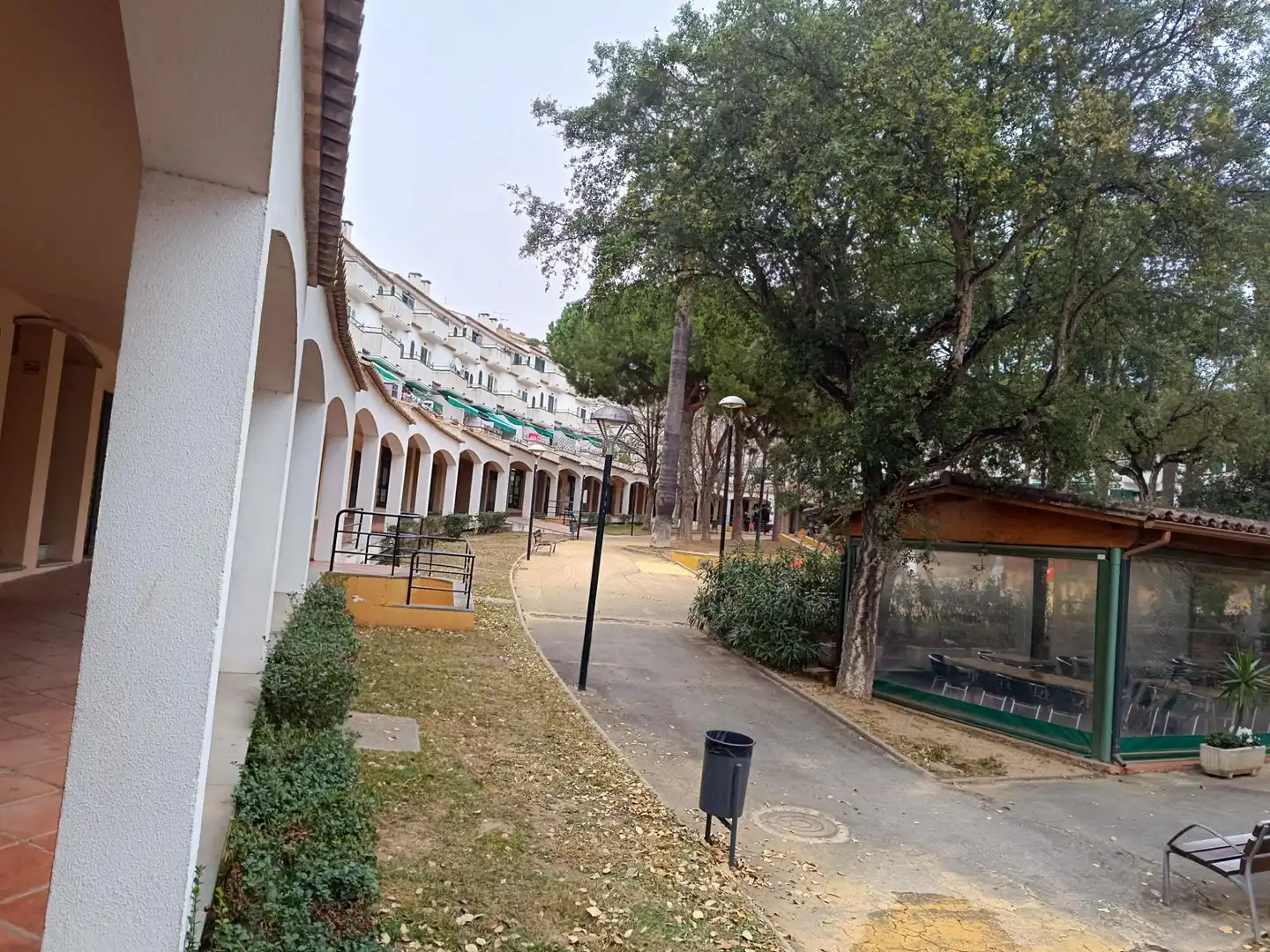 Terraced house with terrace for sale in Plaza Plaza Palmeres, imagen 5