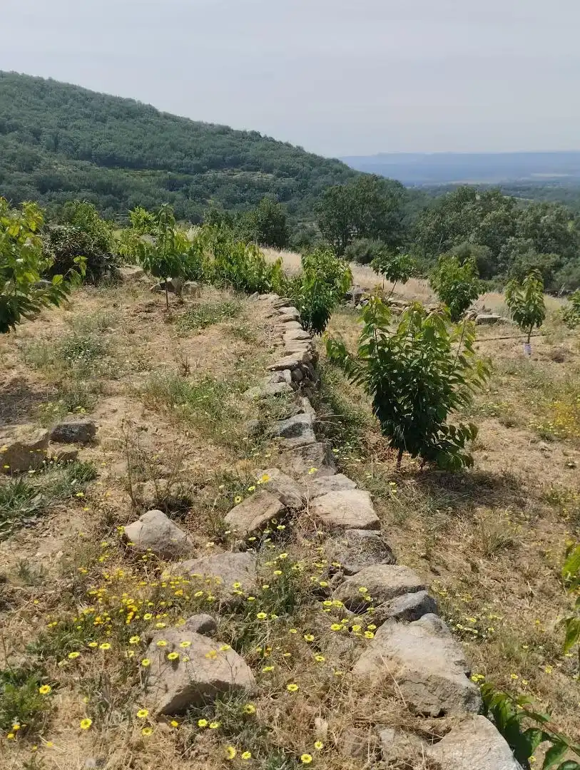 Finca rústica en venta en Pasarón de la Vera