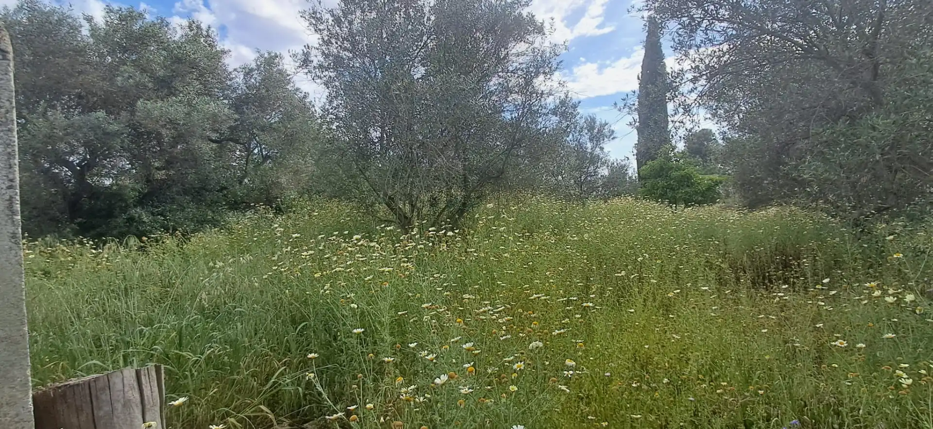 Casa o chalet en venta en Utrera