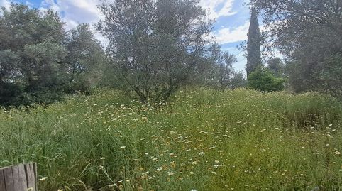 Foto 2 de Casa o chalet en venta en Pedanías Norte, Utrera