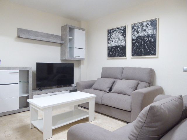 Living room of Apartment to rent in Málaga Capital  with Air Conditioner, Terrace and Furnished