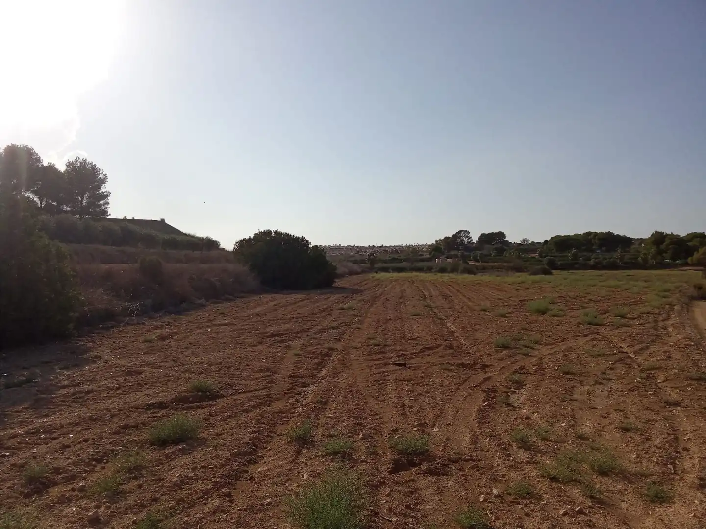Terreny rústic en venda a El Pinar de Campoverde
