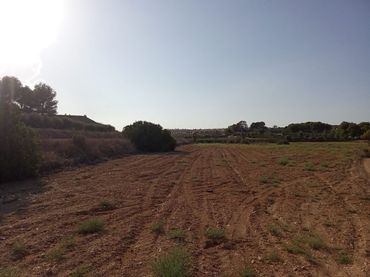 Terreny rústic en venda a El Pinar de Campoverde