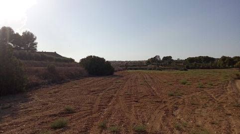 SE VENDE TERRENO RUSTICO CON MATORRAL Y REGADIO