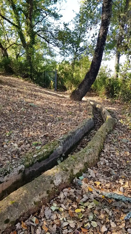 Vista exterior de Finca rústica en venta en Galaroza con Calefacción, Jardín privado y Terraza