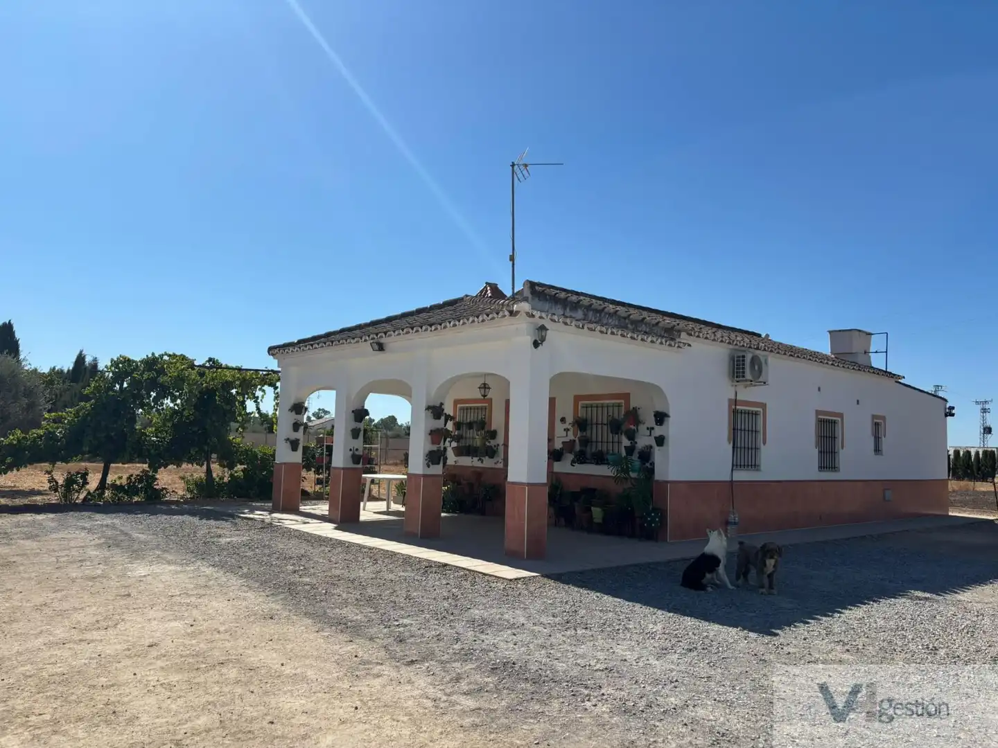 Landhaus zum Verkauf in Villamartín