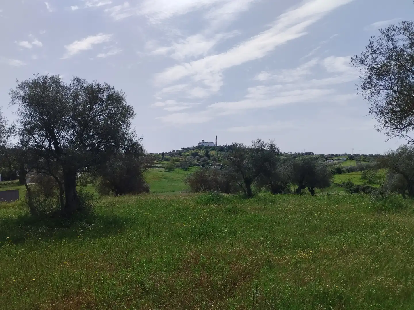 Terreno en venta en Oliva de la Frontera