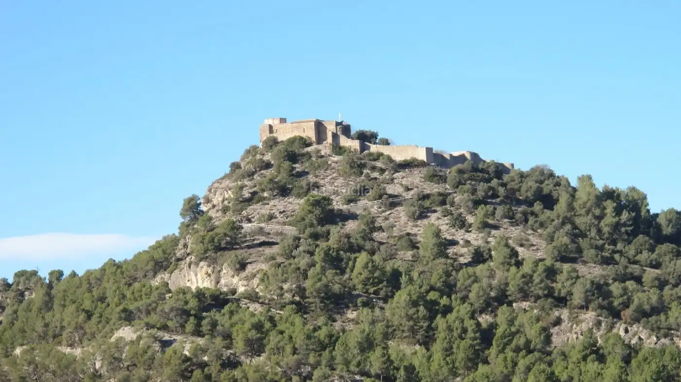Terreny residencial en venda a Carrer del Castell 1, imagen 6