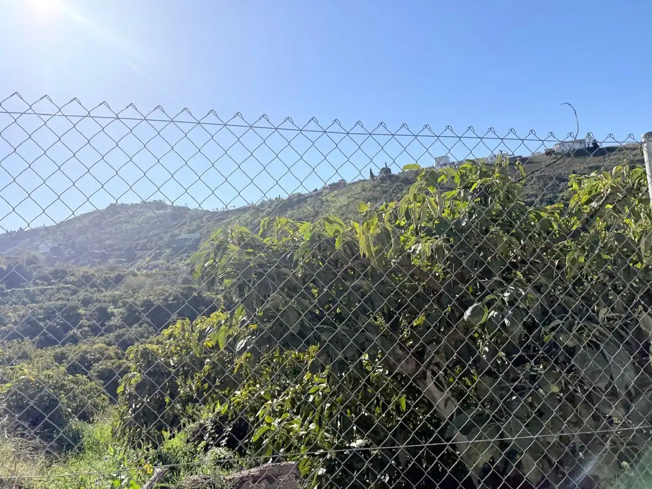 Exterior view of Land for sale in Canillas de Albaida