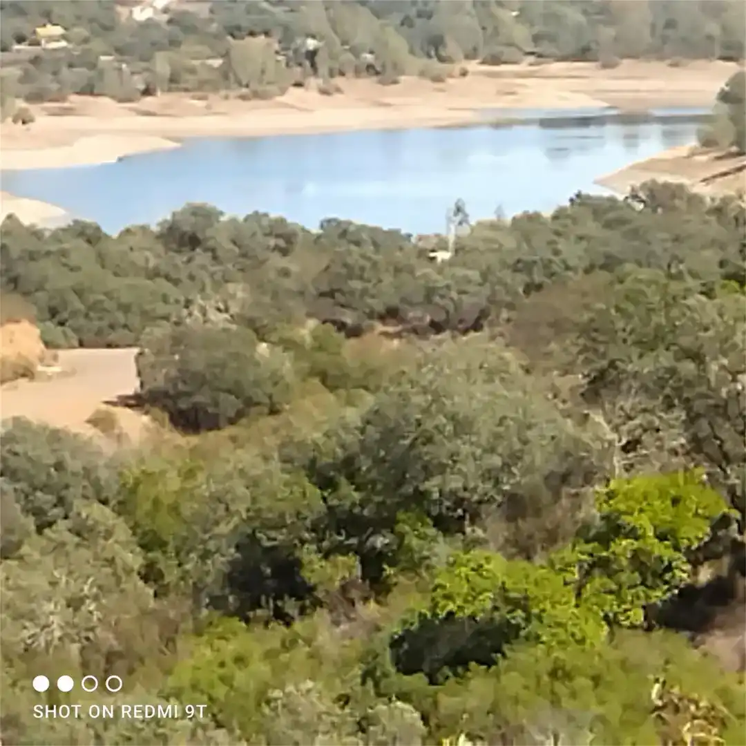Planta baixa en venda en Guillena amb Aire condicionat, Jardí privat i Parquet