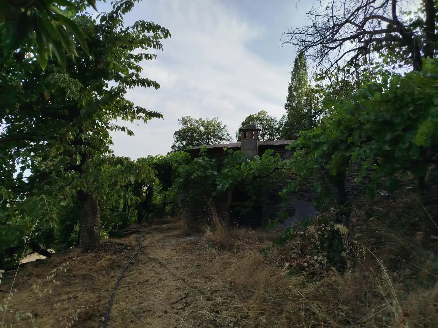 Rural land for sale in Alpujarra de la Sierra, imagen 28