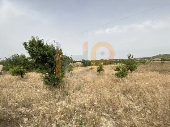 Rural land for sale in Huércal-Overa, imagen 8