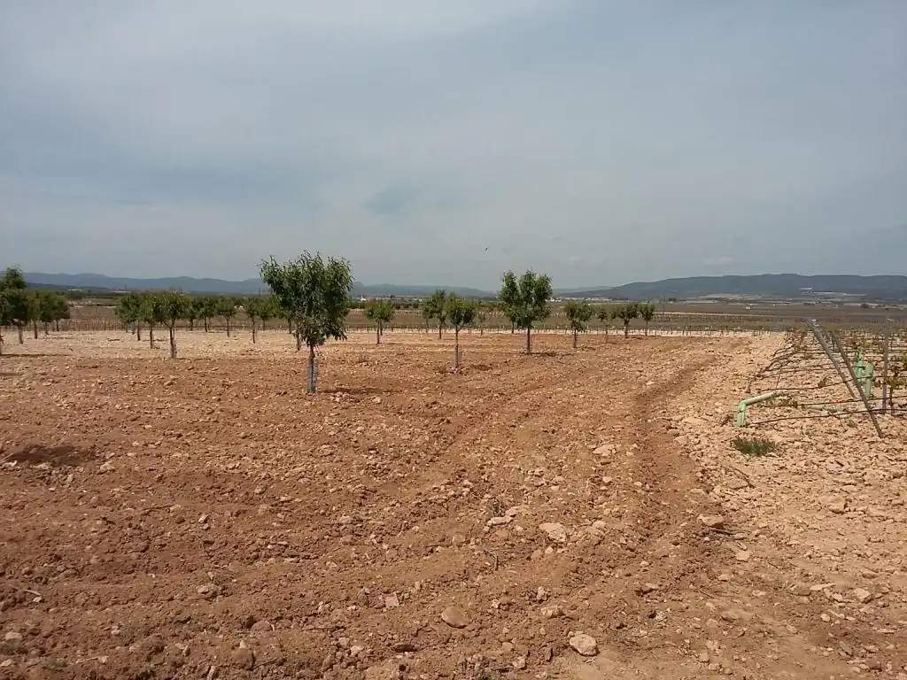 Terreny rústic en venda a CERCA (LA), imagen 2