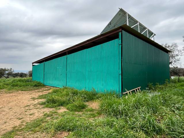 Terreno en Venta en Perales del Puerto