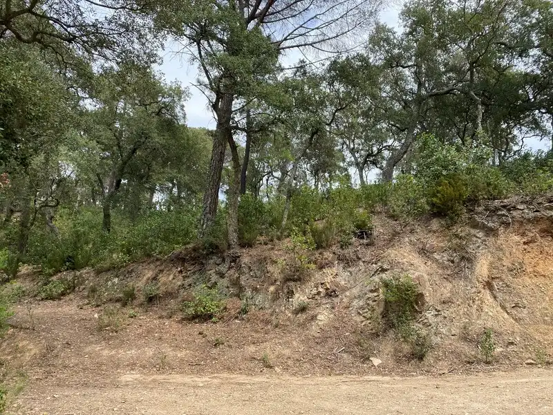 Terreny residencial en venda a Nou Carrer, imagen 4
