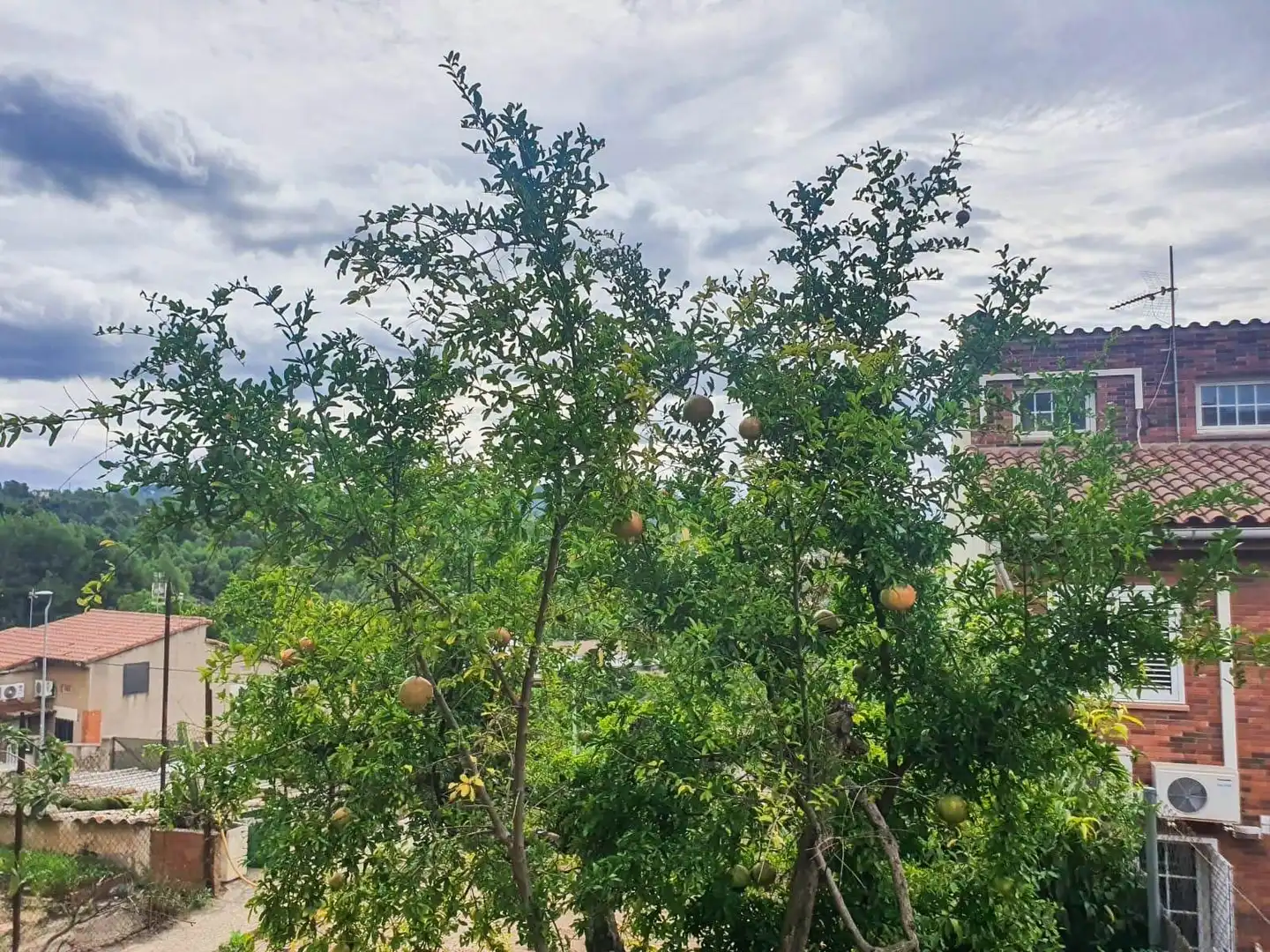 Haus mit Garten zum Verkauf in El Papiol, imagen 69