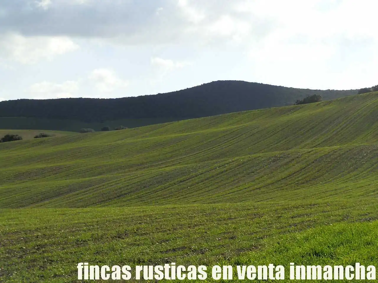 Terreny rústic en venda a Viso del Marqués, imagen 12