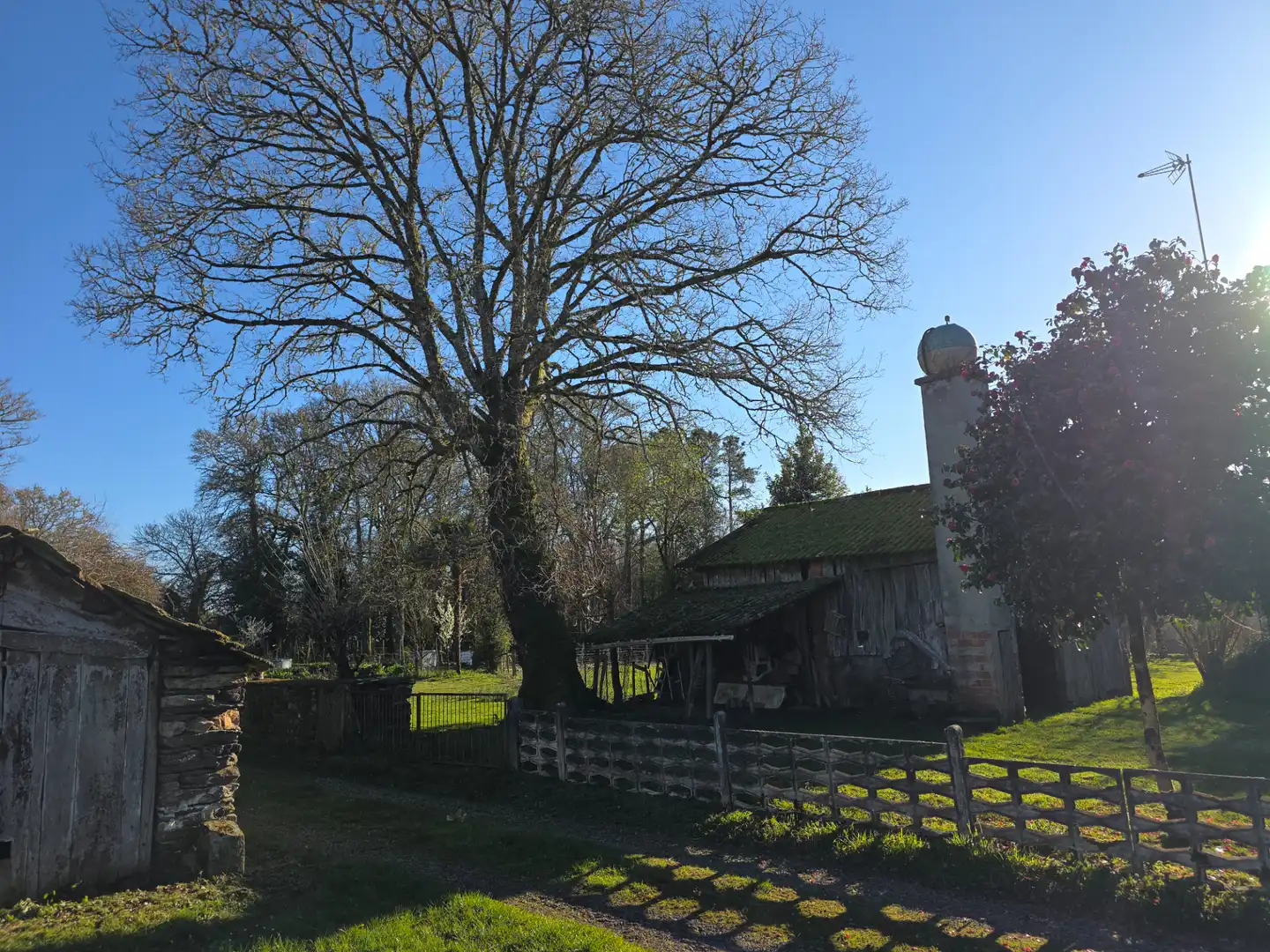 Vista exterior de Finca rústica en venta en Vilalba con Jardín privado y Amueblado