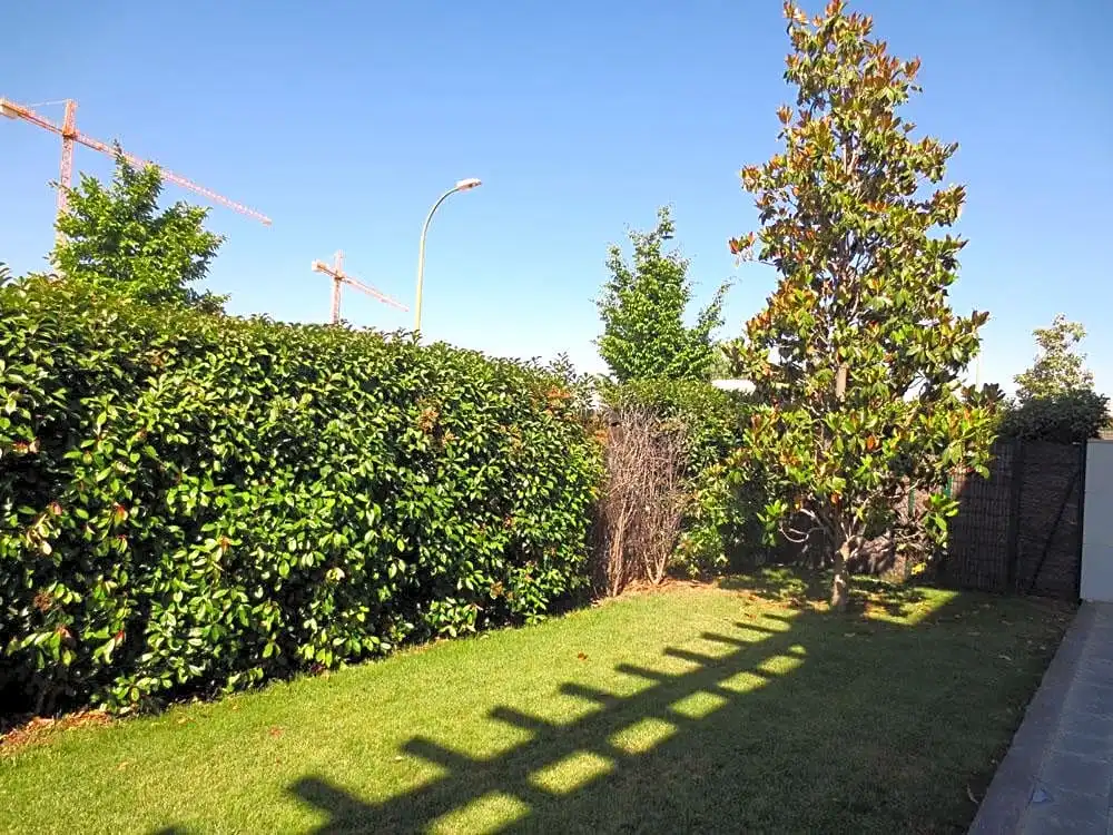 Jardín de Planta baja de alquiler en Madrid con Aire acondicionado, Calefacción y Jardín privado