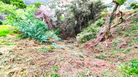 Photo 5 of Residential for sale in Rosamar (parcelas 104, 139, 140, 352, 354 y 355), , -1, Rosamar, Girona