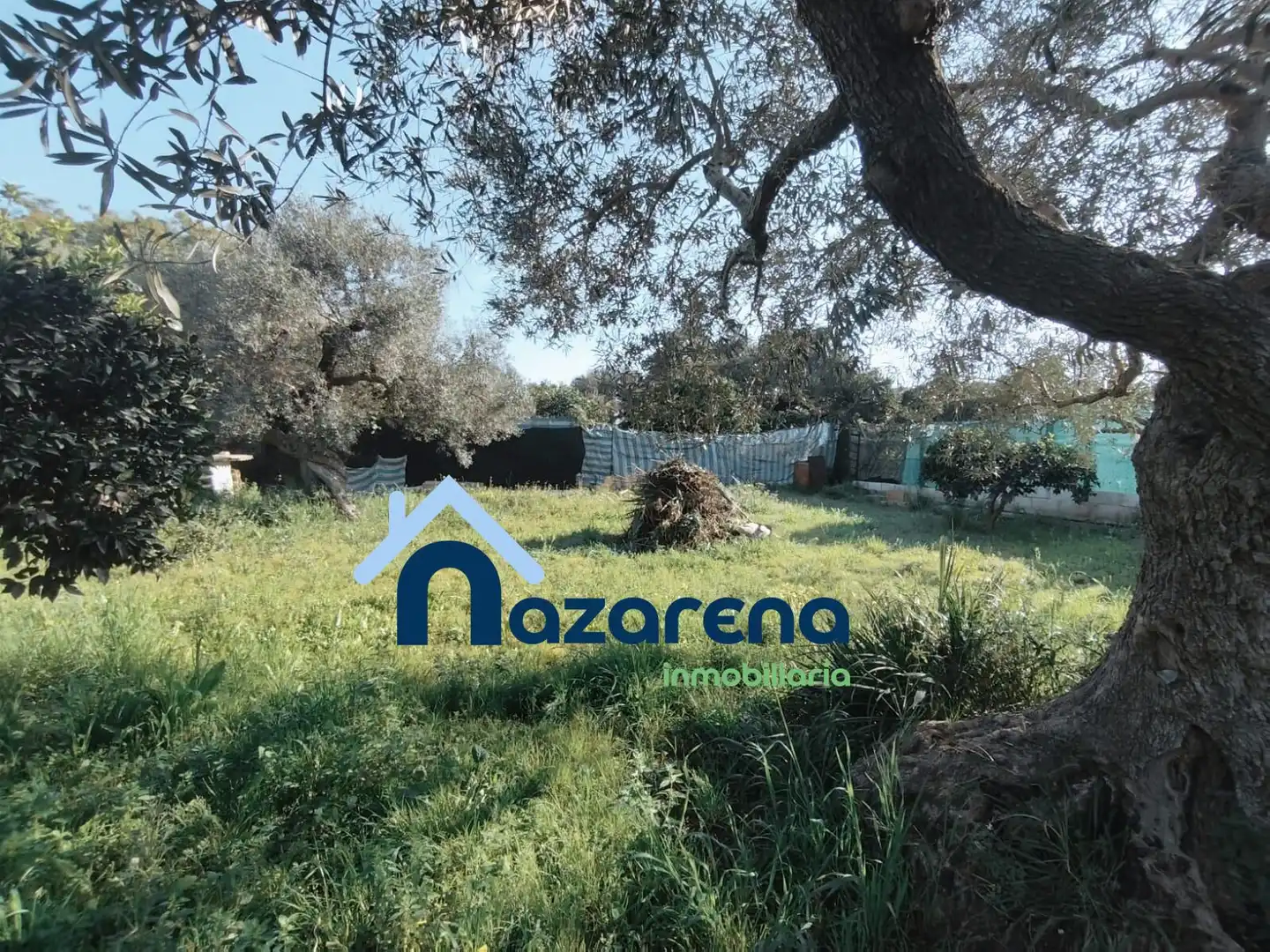 Terreno en venta en Coria del Río