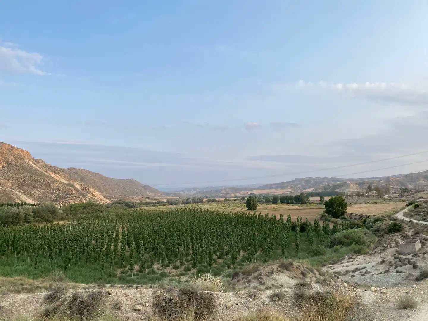 Vista exterior de Finca rústica en venta en Huesa con Jardín privado y Amueblado