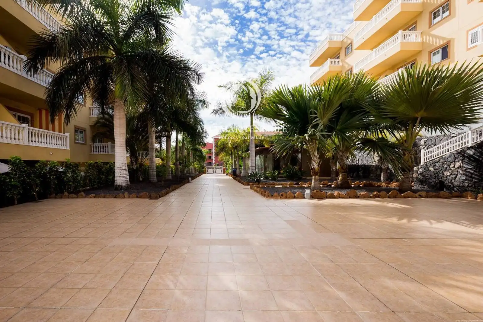 Ático con piscina en venta en C. Quezal, imagen 11